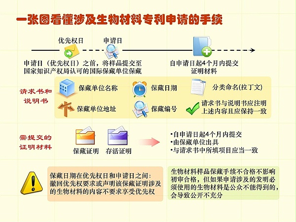 调整顺序版-一张图看懂专利审批流程 - 副本_23